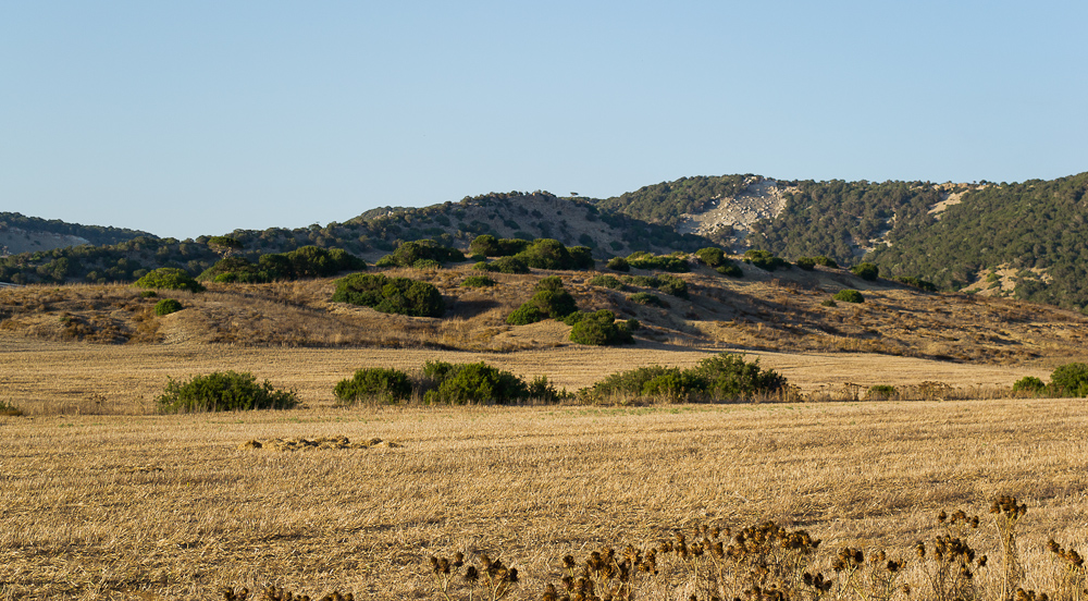 DSC_1641
